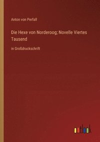 bokomslag Die Hexe von Norderoog; Novelle Viertes Tausend