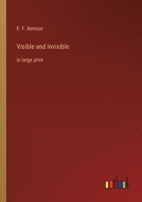 Visible and Invisible 1