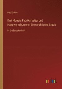 bokomslag Drei Monate Fabrikarbeiter und Handwerksbursche; Eine praktische Studie