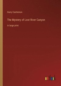 bokomslag Mystery of Lost River Canyon