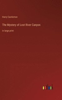 bokomslag Mystery of Lost River Canyon