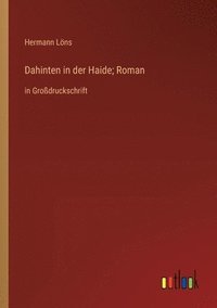 bokomslag Dahinten in der Haide; Roman