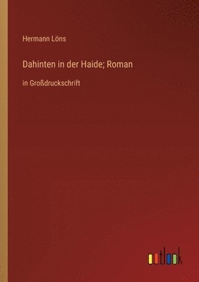 bokomslag Dahinten in der Haide; Roman