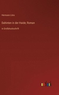 bokomslag Dahinten in der Haide; Roman