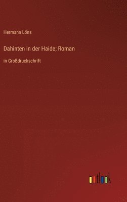 bokomslag Dahinten in der Haide; Roman