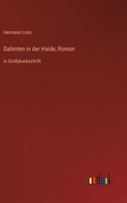 Dahinten in der Haide; Roman