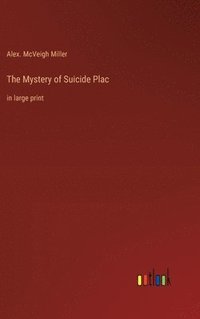 bokomslag The Mystery of Suicide Plac