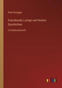 bokomslag Feierabende; Lustige und finstere Geschichten