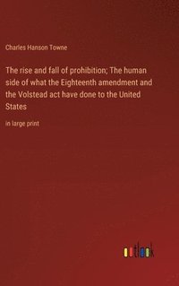 bokomslag The rise and fall of prohibition; The human side of what the Eighteenth amendment and the Volstead act have done to the United States