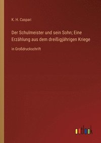 bokomslag Der Schulmeister und sein Sohn; Eine Erzählung aus dem dreißigjährigen Kriege: in Großdruckschrift