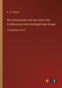 bokomslag Der Schulmeister und sein Sohn; Eine Erzhlung aus dem dreiigjhrigen Kriege