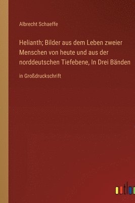 Helianth; Bilder aus dem Leben zweier Menschen von heute und aus der norddeutschen Tiefebene, In Drei Bnden 1