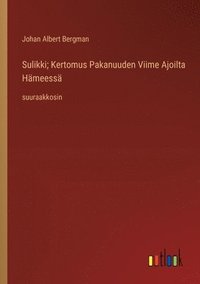 bokomslag Sulikki; Kertomus Pakanuuden Viime Ajoilta Hämeessä: suuraakkosin