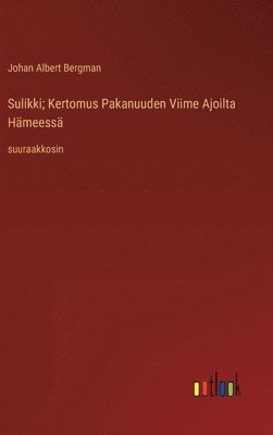 bokomslag Sulikki; Kertomus Pakanuuden Viime Ajoilta Hämeessä