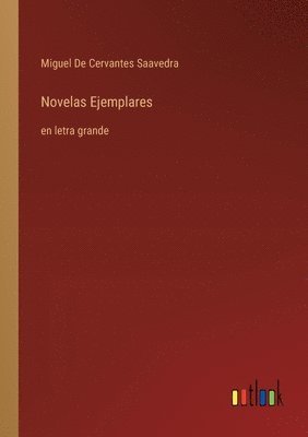 bokomslag Novelas Ejemplares