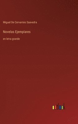 bokomslag Novelas Ejemplares