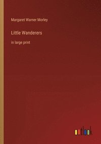 bokomslag Little Wanderers