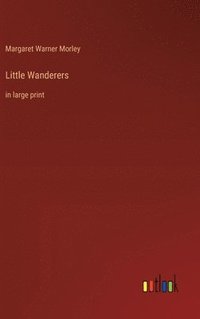 bokomslag Little Wanderers