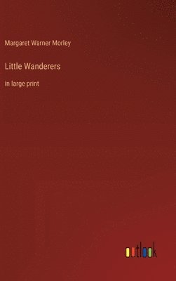 bokomslag Little Wanderers