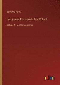 bokomslag Un segreto; Romanzo In Due Volumi