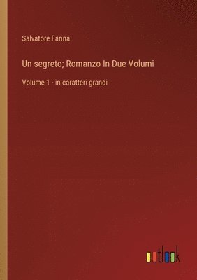 bokomslag Un segreto; Romanzo In Due Volumi