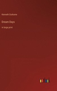 bokomslag Dream Days