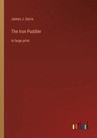 bokomslag The Iron Puddler