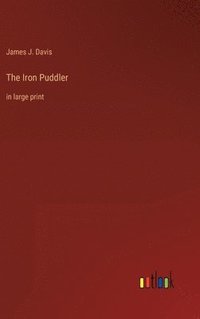 bokomslag The Iron Puddler
