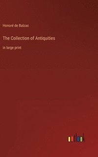 bokomslag Collection of Antiquities