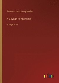 bokomslag Voyage to Abyssinia