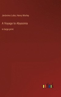 bokomslag Voyage to Abyssinia
