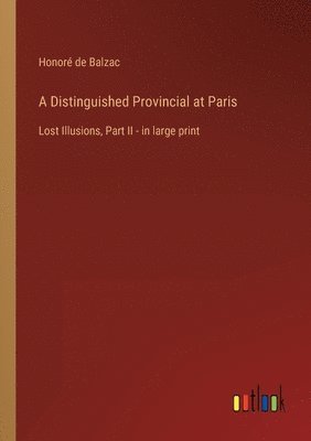 bokomslag Distinguished Provincial at Paris