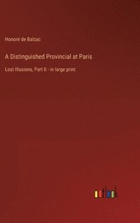 bokomslag Distinguished Provincial at Paris
