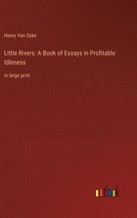 bokomslag Little Rivers