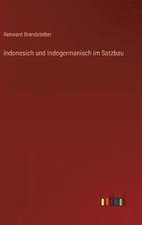 bokomslag Indonesich und Indogermanisch im Satzbau
