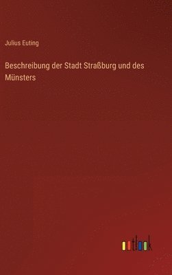 Beschreibung der Stadt Straßburg und des Münsters