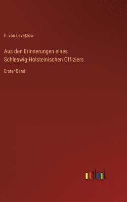 bokomslag Aus den Erinnerungen eines Schleswig-Holsteinischen Offiziers