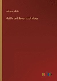 bokomslag Gefühl und Bewusstseinslage