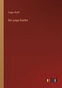 bokomslag Der junge Goethe