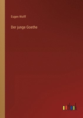 bokomslag Der junge Goethe