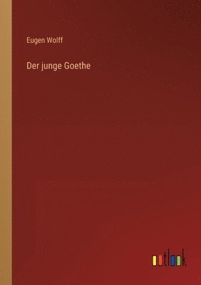 bokomslag junge Goethe