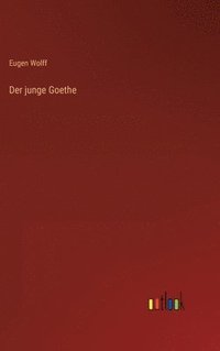 bokomslag junge Goethe