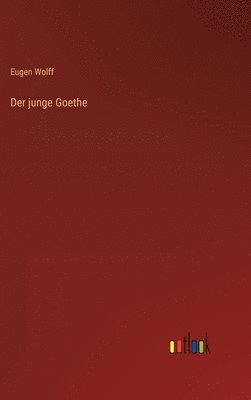 bokomslag Der junge Goethe