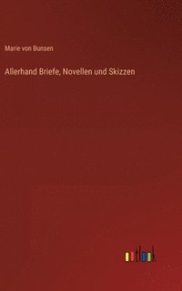 bokomslag Allerhand Briefe, Novellen und Skizzen