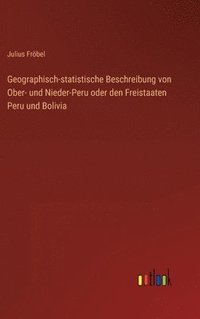 bokomslag Geographisch-statistische Beschreibung von Ober- und Nieder-Peru oder den Freistaaten Peru und Bolivia
