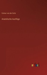 bokomslag Anatolische Ausflüge