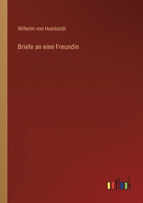 bokomslag Briefe an eine Freundin