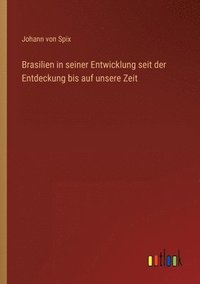 bokomslag Brasilien in seiner Entwicklung seit der Entdeckung bis auf unsere Zeit