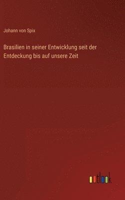 bokomslag Brasilien in seiner Entwicklung seit der Entdeckung bis auf unsere Zeit