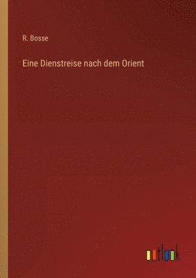 bokomslag Eine Dienstreise nach dem Orient